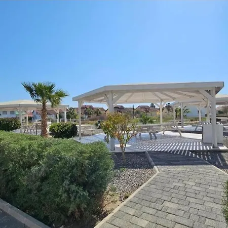 в комплексах цезарь и цезарь блю Boghaz