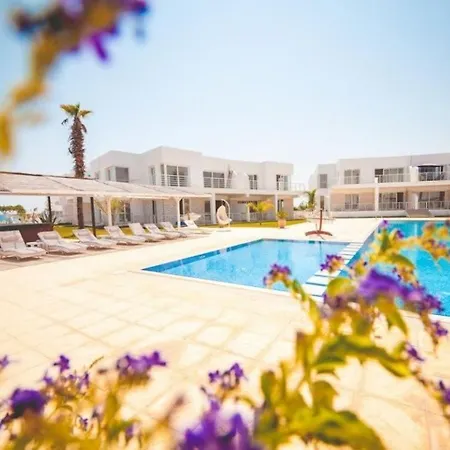 в комплексах цезарь и цезарь блю