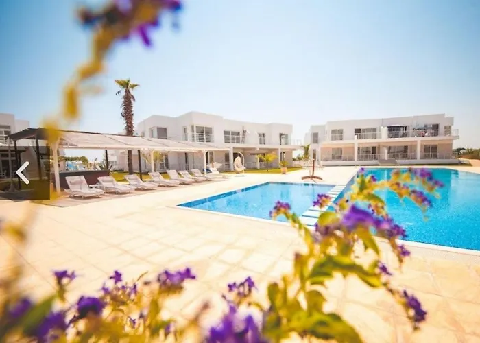 в комплексах цезарь и цезарь блю