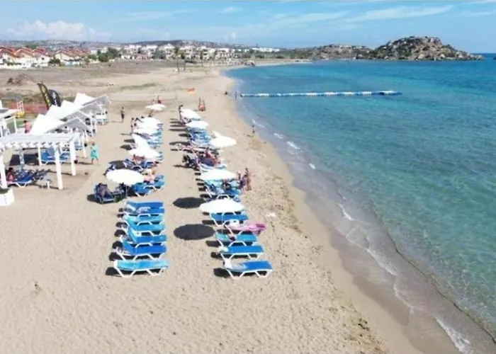 в комплексах цезарь и цезарь блю *